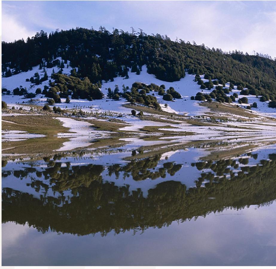 Ifrane Chalet Buitenkant foto